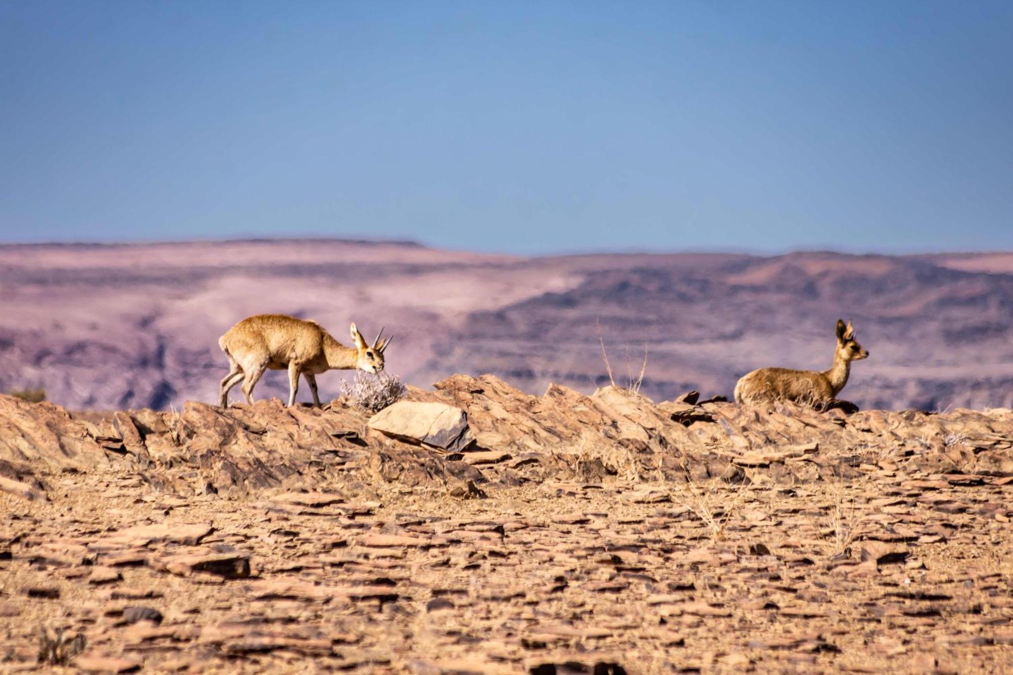 Fish River Lodge Ariamab Екстер'єр фото